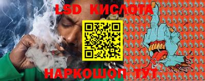 шишки Долгопрудный